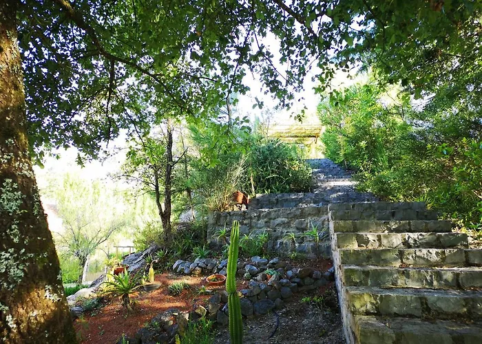 Cantinho Do Lucas Tatil Evi